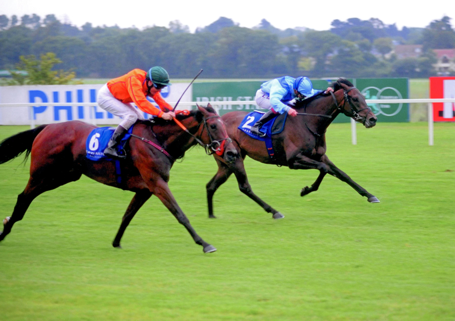 Highly Efficient Leopardstown 21st July 2011